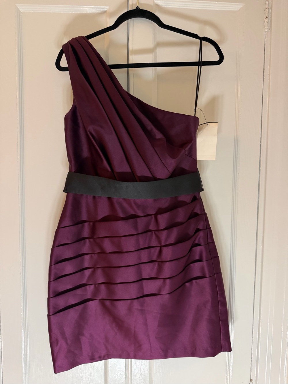 ABS Allen Schwartz One-Shoulder Plum Dress with Black Waistband